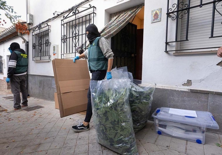Bebés y niños que se crían en viviendas repletas de marihuana